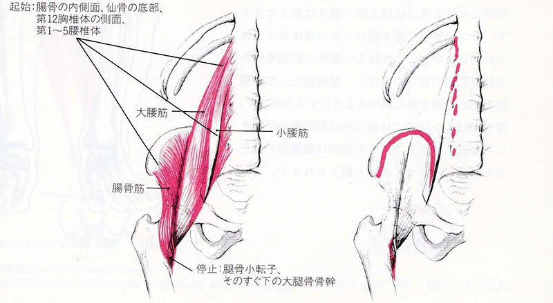 脊柱管狭窄症